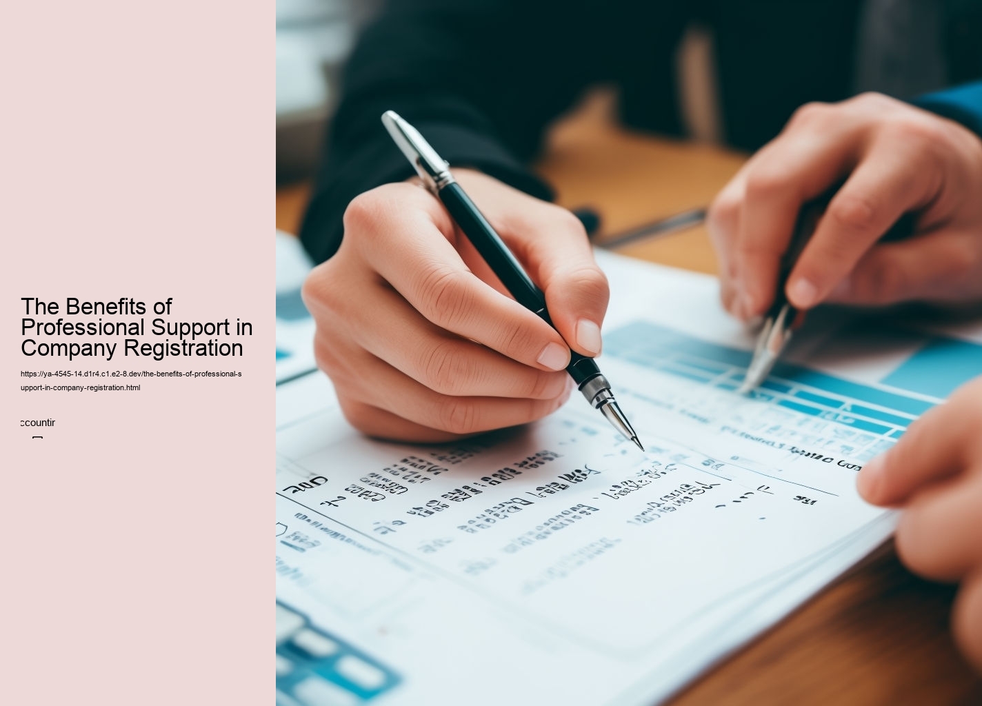 The Benefits of Professional Support in Company Registration