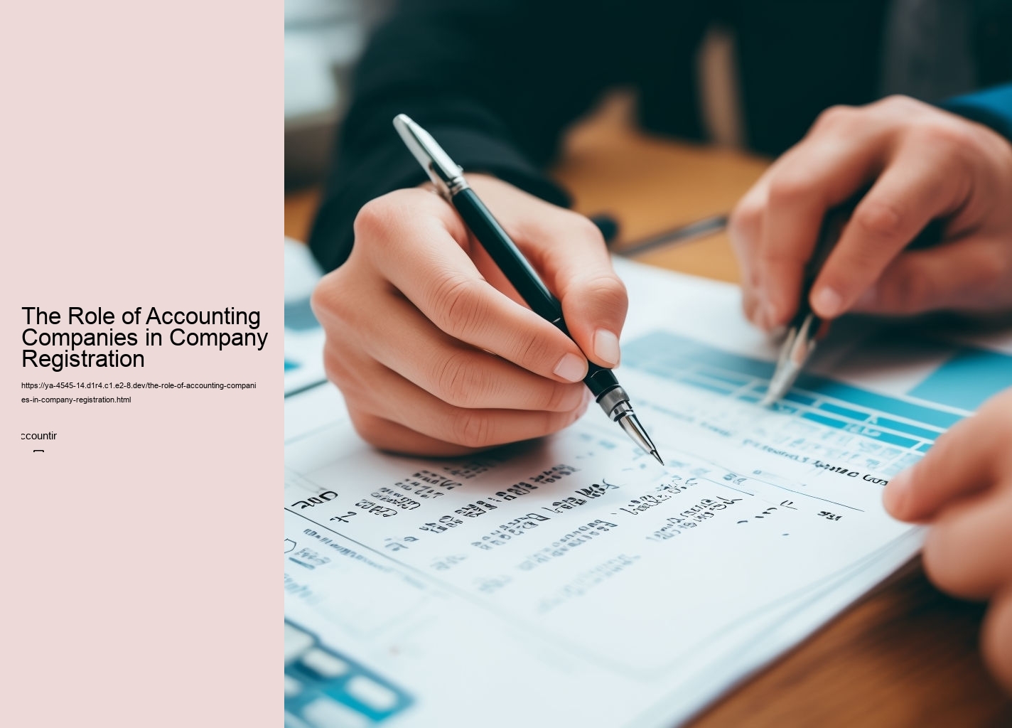 The Role of Accounting Companies in Company Registration