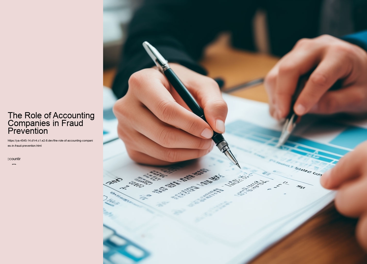 The Role of Accounting Companies in Fraud Prevention